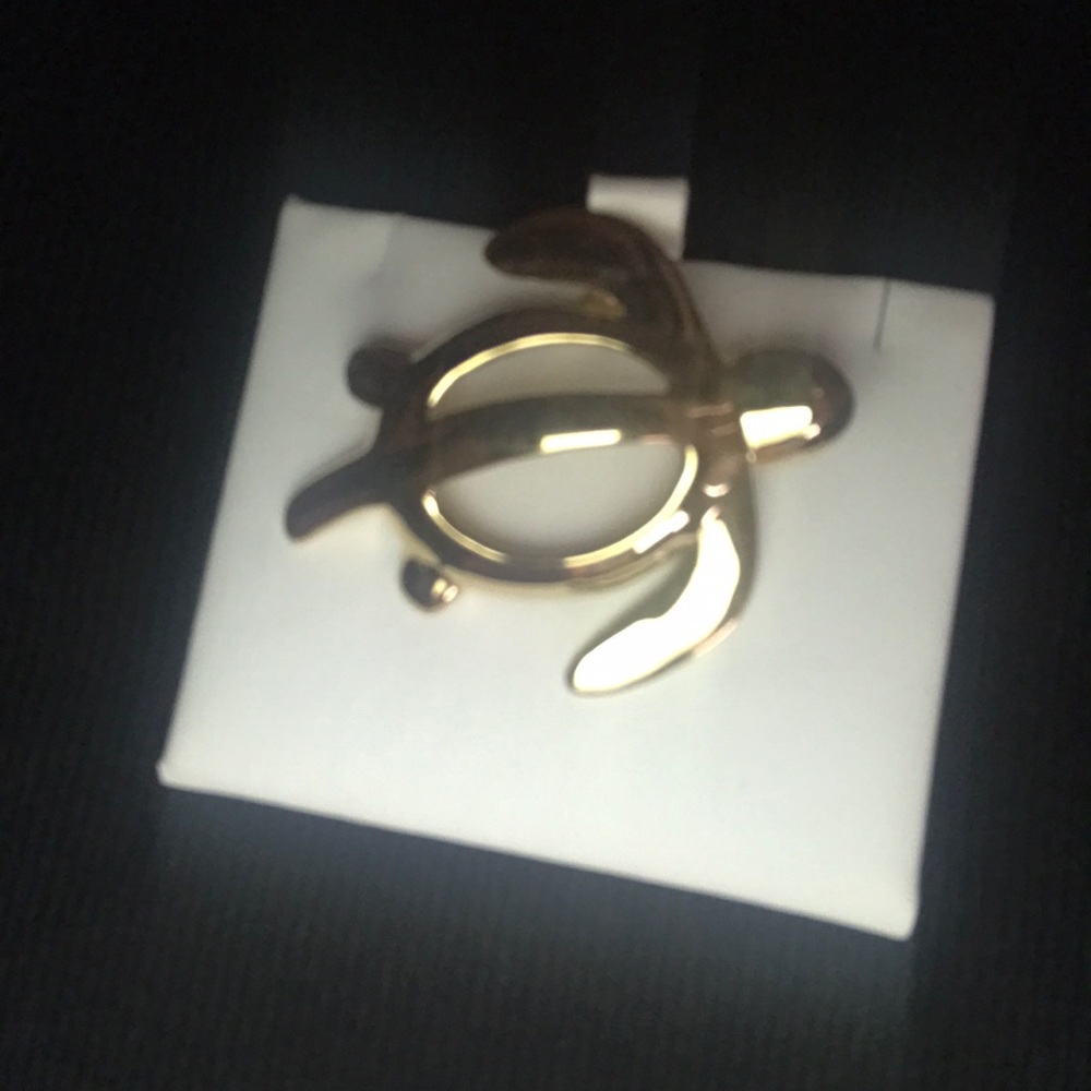 Turtle Pendant (14k Plated)